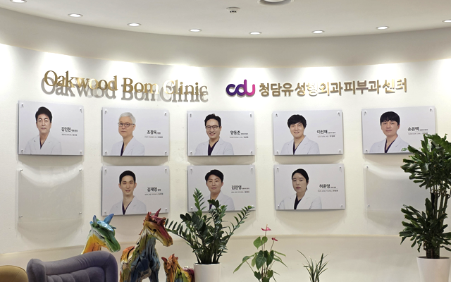 Oakwood Bom Clinic & CHEONGDAM U PLASTIC SURGERY CENTER